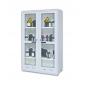 Armoire de sécurité pour produits dangereux <br> Capacité : 2 x 130 L