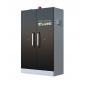 Armoire LithiumVault 2 portes pour le stockage et le chargement de batteries lithium-ion (16A)