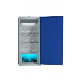 Armoire LithiumVault 1 porte avec système d'extinction "Quarantaine" et prises électriques